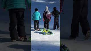 Snow fun #lovewins #snowfun #sledding #friends #shortvideo  #gooutside #husky #snowdog  #oaks #fun