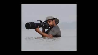 Wildlife photography 2024 || Highlight || #wildlifephotoghraphy  #nature #reels #suprotapphotography