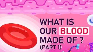 What is Our Blood Made of? Part 1 - Animated Explanation