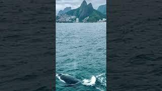 6 September 2024