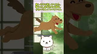 犬の世界も、人間と同じ？【犬 猫 泣ける話 感動する話 涙活  ほっこり 実話】#2ch面白いスレ #2ch #Shorts