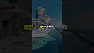 Sinhala Motivation Status  | අදම පටන් ගන්න | Motivational Video #shorts #motivation