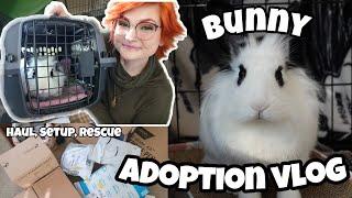 I RESCUED A BUNNY!  | adoption vlog |