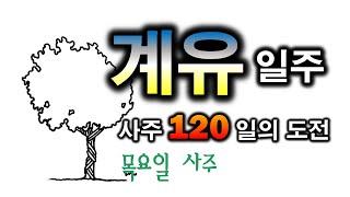 계유일주 한방정리(119일차)