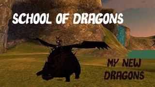 School of Dragons: My New Dragons