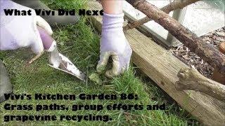 Vivi's Kitchen Garden 86: Grass paths, group efforts and grapevine recycling.