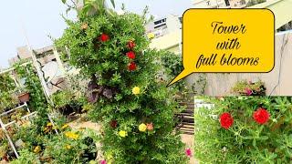 Vertical gardening tower with full blooms, #tableRose #OrgGardener