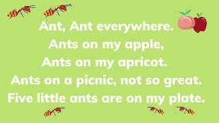 Ants, Ants everywhere