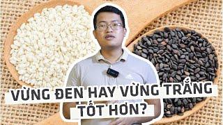 Hạt vừng (mè) đen và hạt vừng (mè) trắng, loại nào tốt cho sức khỏe hơn?