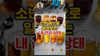 소변 색으로 내 몸 상태를 알 수 있습니다!! #건강정보 #건강관리 #소변색 #건강적신호