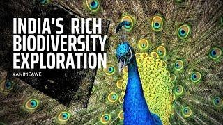 India's Rich Biodiversity Exploration