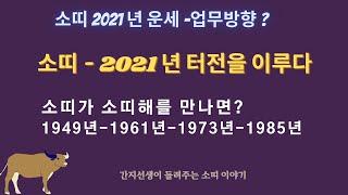 소띠 2021년 운세-업무방향 ? 소띠- 2021년 터전을 이루다~소띠가 소띠해를 만나면?