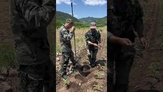鑫鑫在家乡