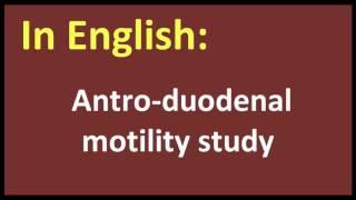 Antro duodenal motility study arabic MEANING