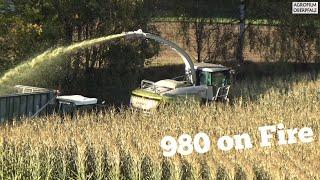 980 on fire #2 - Der King im Mais - Maisernte 2021 - Claas Jaguar 980 - LU Spitzner