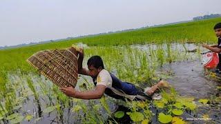 Traditional Fishing With Bamboo Tools Polo #fishing #fish_video #polo_fish_trap