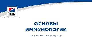 Вебинар на тему: “Основы иммунологии”. Лектор - Екатерина Мендоса-Кузнецова.