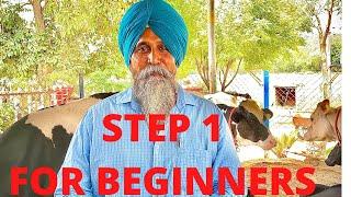 HOW TO START DAIRY FARMING | FOR BEGINNERS | AULAKH DAIRY FARM | RAMPURA PHUL | BATHINDA