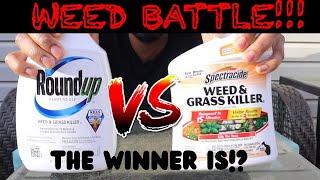 ROUNDUP VS SPECTRACIDE REAL TIME BATTLE!!!!! WHATS THE BEST WEED KILLER????