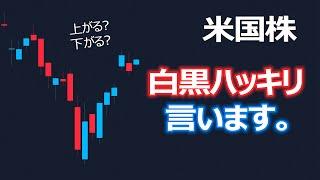 【米国株】白黒ハッキリ言います【エヌビ決算目前】