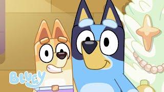  Live: Bluey Series 2 Full Episodes