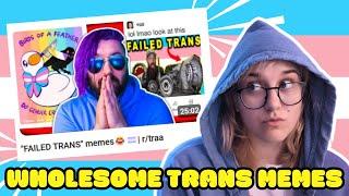 If You Like Trans Memes Watch This Stream!