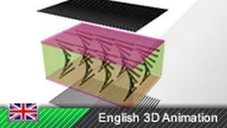 TFT / LCD Monitor - How it works! (3D Animation)