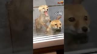 더워요 문 좀 열어주세요!!