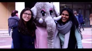 Elephant in the Room: Mental Health Awareness