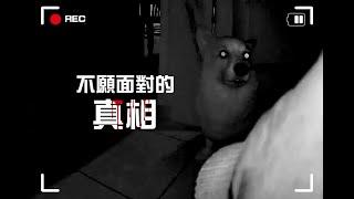 柯基犬肥油 X 不願面對的...真相 Furbo-360度版 狗狗追蹤功能