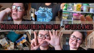 BONUS VIDEO! Check in and Chat About our Extreme Grocery Budget Challenge! ADHD Ramblings..