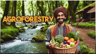 What is AGROFORESTRY..? An overview, Benefits & Examples