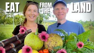 LET'S EAT FROM THE LAND! TROPICAL COOKING & FOOD SECURITY (HAWAII).