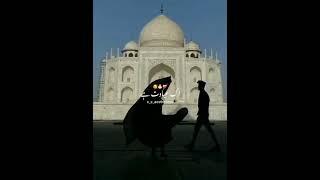 Tiktok video\King Writes 134 #love #myofficalpage #musicapp #officialaccount