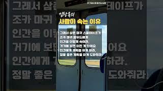 사람이속는이유 #인생조언 #동기부여 #김창옥 #하루한줄 #공감