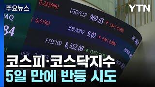 증시 급등에 코스피 2,400선 회복...환율 1,420원대 / YTN