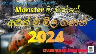 Monster fish  new prices 2024 Sri Lanka  මොන්ස්ටර් මසුන්ගේ නවතම මිල ගණන් 