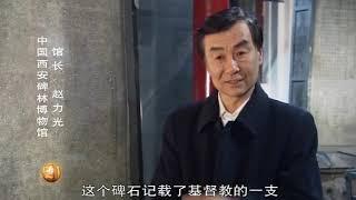 世界历史 第30集 古代中外文化交流 上