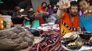 The most impressive street market I have ever visited: CAMBODIA