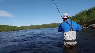 Ponoi River. Early June. Home Pool fishing