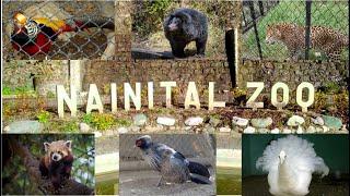 Nainital Zoo | Nainital ka Chidiya Ghar | Complete Tour All Animals | Nainital Zoo All Animals