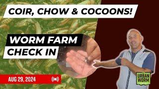 Cocoons, Chow & Coco Coir: Worm Farm Check-in Aug 29, 2024