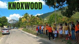 JAMAICA PEACEFUL COMMUNITY , KNOXWOOD ST.ELIZABETH #JAMAICA