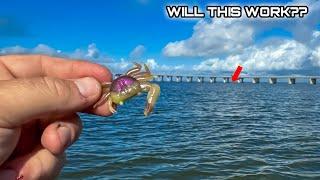 Sheepshead Fishing with NEW LURE ** MASSIVE SHEEPSHEAD HERE **