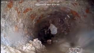 NJ Home Inspector Performs Sewer Line Video Inspection with Tree Root Intrusion and a blocked line.