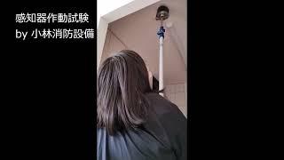 【点検時音響鳴動】感知器作動試験51（小林心優 消防設備士 消防設備点検資格者）fire alarm equipment ～小林消防設備　福岡県豊前市　全類消防設備士　第二種電気工事士　経営学修士～