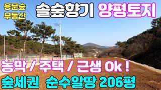 양평토지급매물1억대 계획관리지역 지목/전 숲세권호젓한 알땅206평 & 용문숲부동산2847