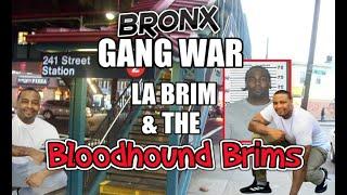 Bronx Gang War - La Brim & The Blood Hound Brims - Who Started Whoopty? - 241st street