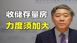 收储存量房，资金支持力度还需要更大【清华大学李稻葵】