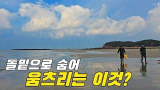 추워지면 돌밑으로 숨어 움치려 있다는 이것? +먹방 / ft. 가경주로뎀펜션